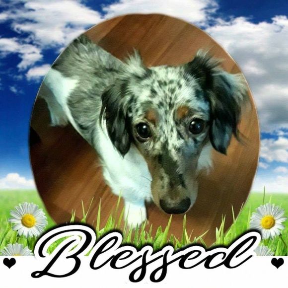 Meet your Posher, Kim - Picture 1 of 1